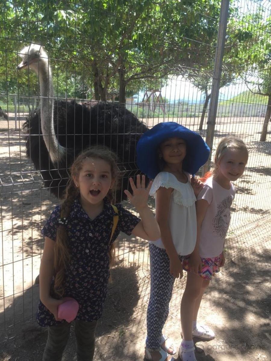 Учащиеся пришкольного лагеря "Жалын" на страусинном ферме   
