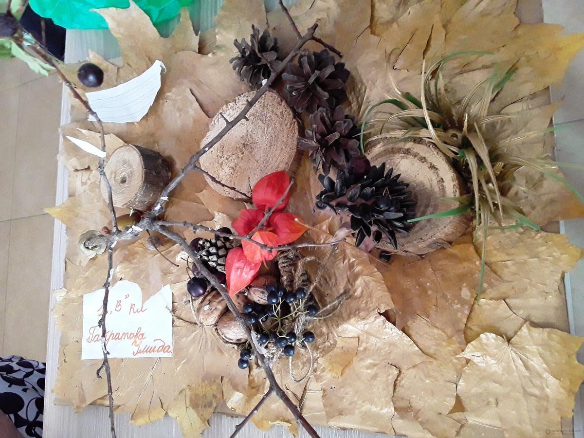 Информация по КГУ ОШ №20