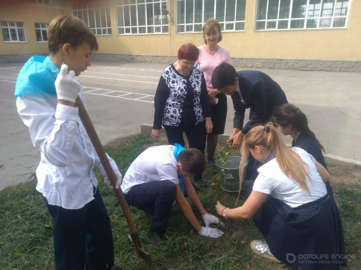 Информация по КГУ ОШ №20