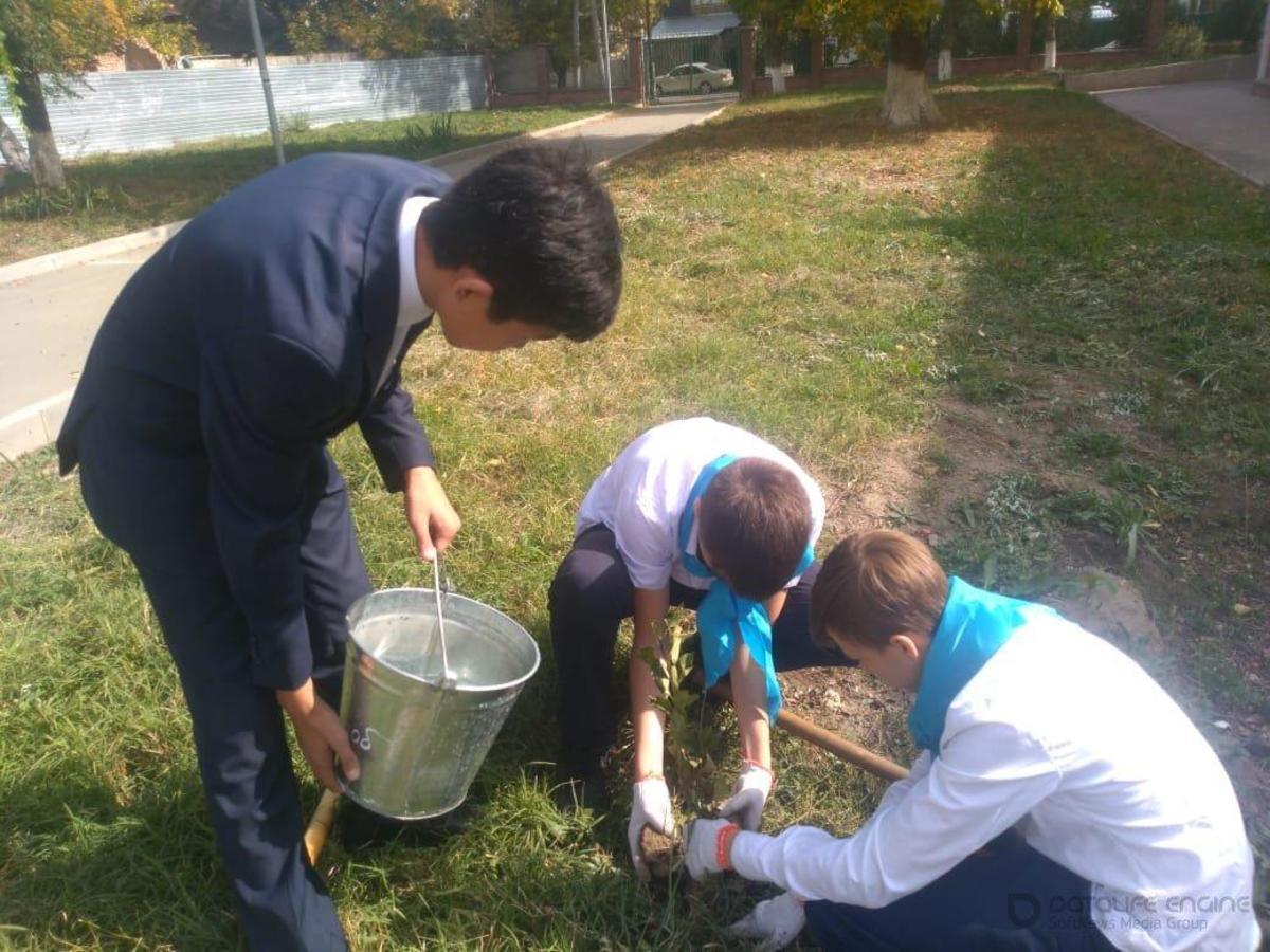 Информация по КГУ ОШ №20