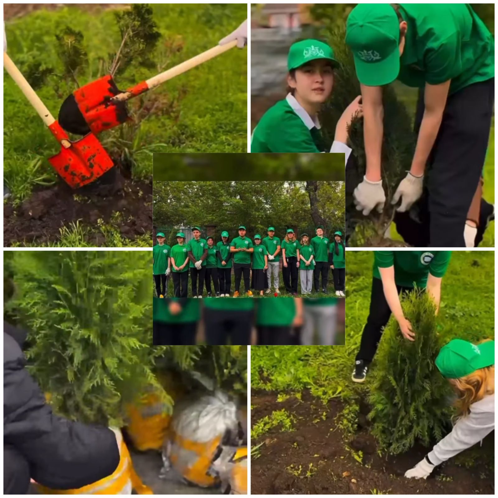 «Түлектердің ағаш егуі» / «Посадка деревьев выпускниками»